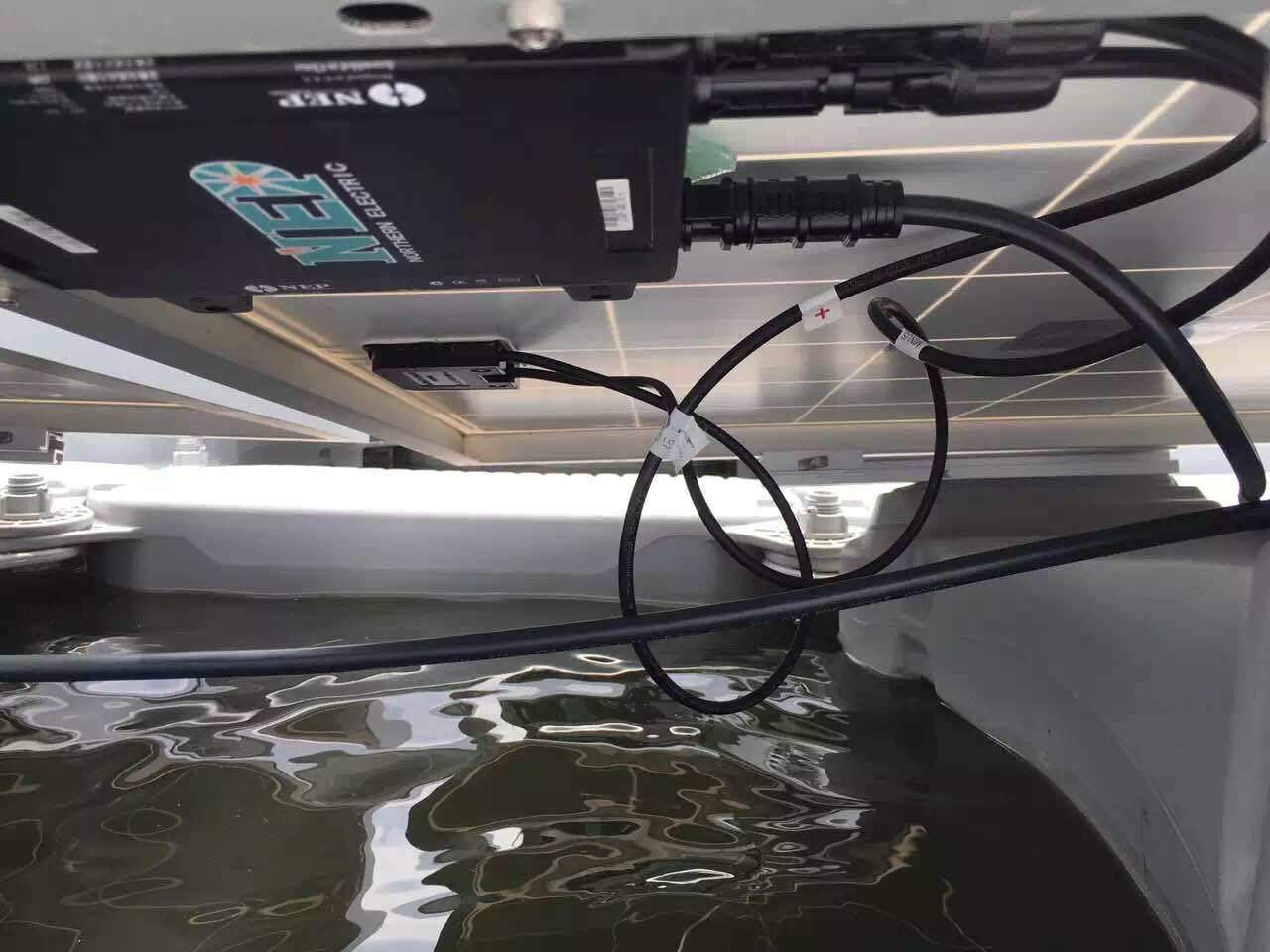 QQ图片20160603114431